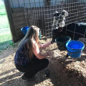 Meet your Posher, Alexis